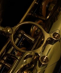 Selmer Paris 2026 NYC Limited Edition Alto Sax - Bell to Body
