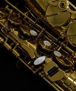 Selmer Paris 2026 NYC Limited Edition Alto Sax - Right Hand