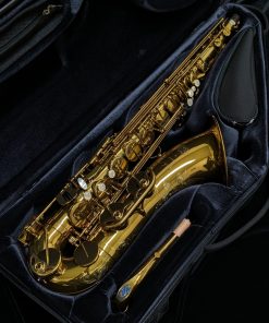 Selmer Paris 2026 NYC Limited Edition Tenor Sax - Case Interior