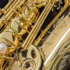 Selmer Paris Axos - Selmer Axos Alto Sax
