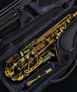 Selmer Paris Signature Alto Sax - Black Lacquer - Inside Case