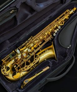 Selmer Paris Signature Alto Sax - Brushed Lacquer - Image 14