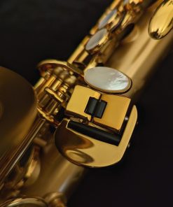 Selmer Paris Supreme Alto Sax - Brushed Lacquer 92M
