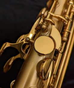 Selmer Paris Supreme Alto Sax - Brushed Lacquer 92M