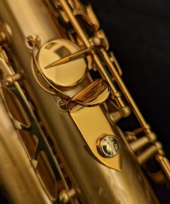 Selmer Paris Supreme Alto Sax - Brushed Lacquer 92M