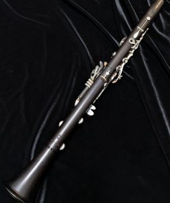 Selmer Paris Privilege Clarinet - Evolution - B Stock Model 505729 - Back