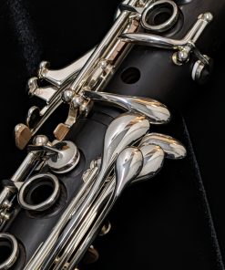 Selmer Paris Privilege Clarinet - Evolution - B Stock Model 505729 - Left Hand Pinky