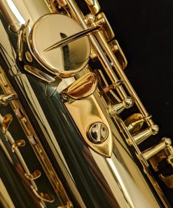 Selmer Paris Reference 54 Tenor Sax - Thumb