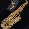 Mint Used Selmer Series II Alto Sax #N809645 - Sax with 2 Necks