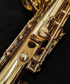 Selmer Paris Series III Soprano Saxophone - Gold Lacquer - Thumb