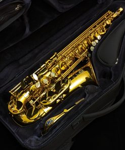 Selmer Paris Signature Alto Sax - Case Interior