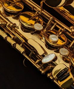 Selmer Paris Signature Tenor Sax - Right Hand