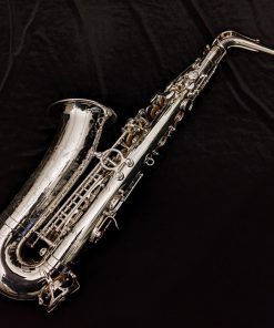 Selmer Paris Supreme Alto Sax - Silver Plated - Back of Sax