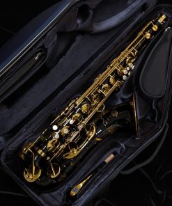 Selmer Paris Supreme Tenor Sax - Black Lacquer 94BL - Case Interior