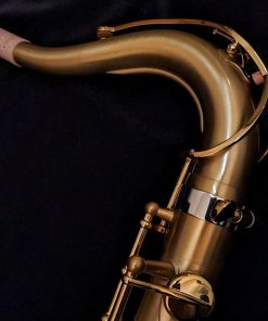 Selmer Paris Supreme Tenor Sax - Brushed Lacquer - Neck