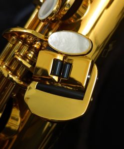 Selmer Paris Supreme Tenor Sax - Dark Lacquer - Left Hand Pinky