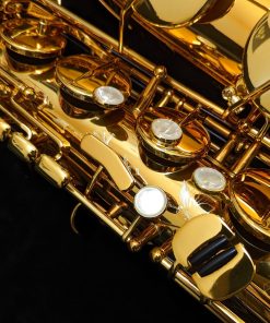 Selmer Paris Supreme Tenor Sax - Dark Lacquer - Right Hand