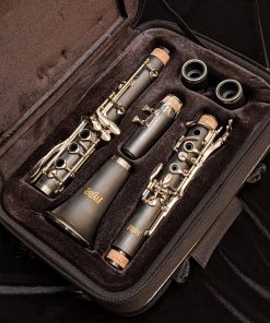 Solist CL180 Student Clarinet (Plastic) - Case