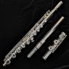 Solist FL1S Student Flute