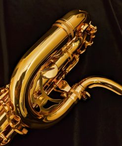 Solist Low A Bari Sax - Neck Loop