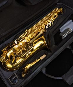 Solist Student Alto Sax - Inside Case