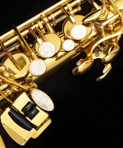 Solist Student Alto Sax - Left Hand