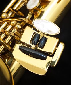 Solist Student Alto Sax - Pinky