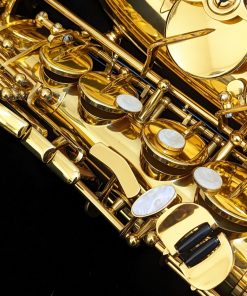 Solist Student Alto Sax - Right Hand