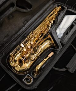 Solist SAS300 Alto Sax - Case Interior