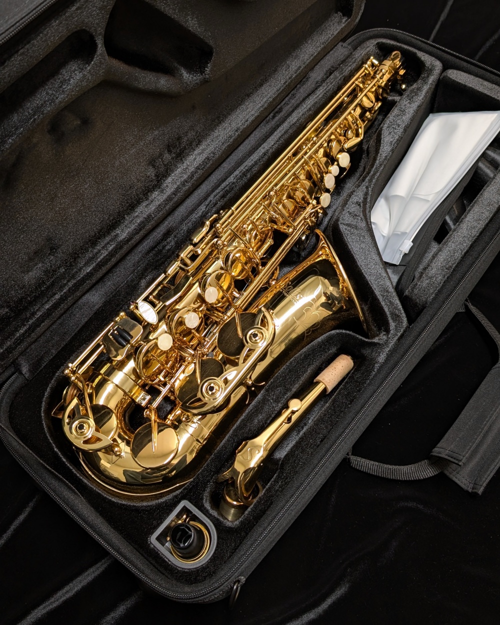 Solist SAS300 Alto Sax - Case Interior