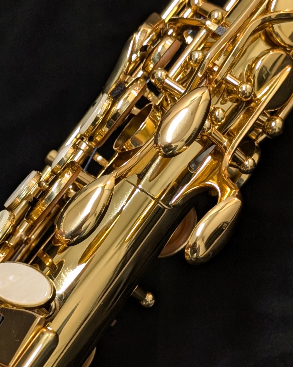 Solist SAS300 Alto Sax - Left Hand Palms