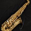 Solist SAS300 Alto Sax - A Better Student Alto Sax