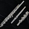 Solist Step-Up Open Hole Flute