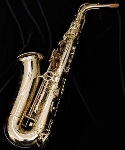 Used Selmer Paris Axos Alto Sax (1st Gen - SeleS) - Back of sax