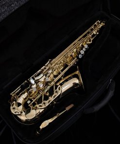 Used Selmer Paris Axos Alto Sax (1st Gen - SeleS) - Inside Case