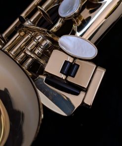Used Selmer Paris Axos Alto Sax (1st Gen - SeleS) - Left Hand Pinky