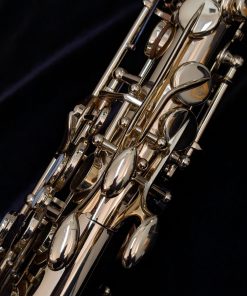 Used Selmer Paris Axos Alto Sax (1st Gen - SeleS) - Left Hand Palms