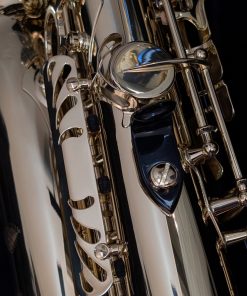 Used Selmer Paris Axos Alto Sax (1st Gen - SeleS) - Thumb