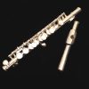 Overhauled Piccolo - Vintage Selmer USA with Coin Silver Head