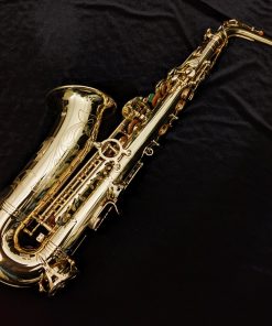 Used Selmer Paris Series III Alto Sax #610284 - Back of Sax