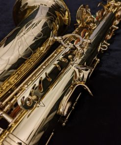 Used Selmer Paris Series III Alto Sax #610284 - Back of Body