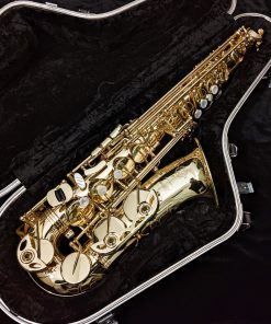 Used Selmer Paris Series III Alto Sax #610284 - Case Interior