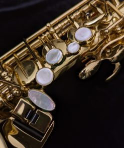 Used Selmer Paris Series III Alto Sax #610284 - Left Hand Keys