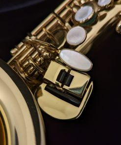 Used Selmer Paris Series III Alto Sax #610284 - Left Hand Pinky