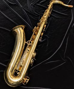 Used Yanagisawa TWO1 Tenor Sax #00366571 - Back of Sax