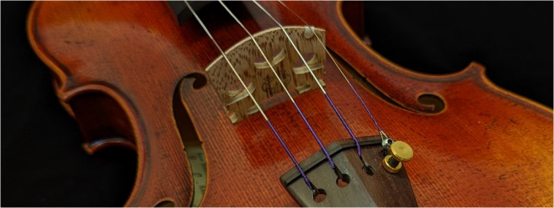 Violin Header