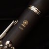 Yamaha YCL-450IINM Duet Clarinet - 2nd Gen - Logo