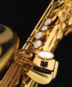 Yamaha Custom Z Atelier Special Tenor Sax - YTS-82ZASP