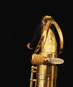 Yamaha Custom Z Atelier Special Tenor Sax - YTS-82ZASP