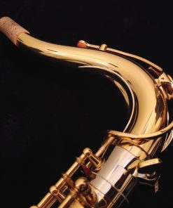 Yamaha Custom EX Tenor Sax YTS-875EX